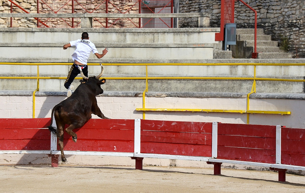 他運動員效