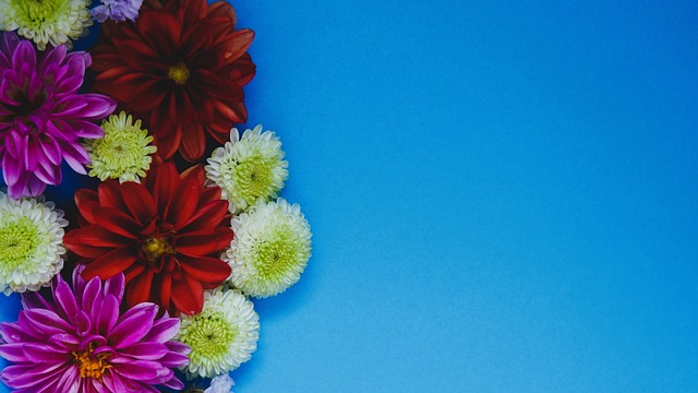 在體育界 在體育界