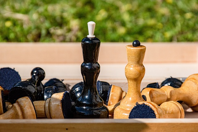 国篮球事业 国篮球事业