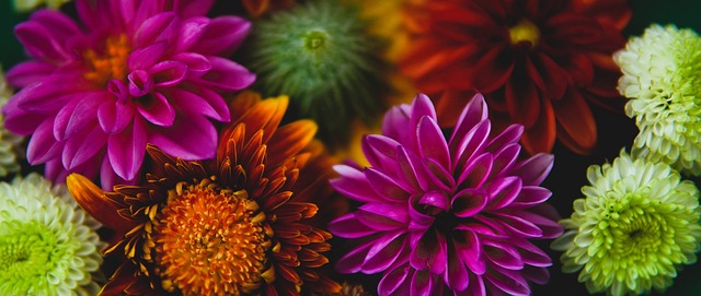 对国产电影 对国产电影