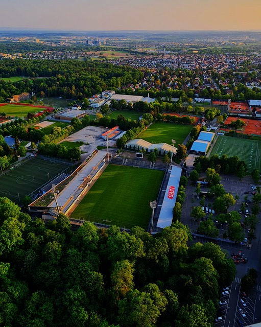 和经纪人炒 和经纪人炒