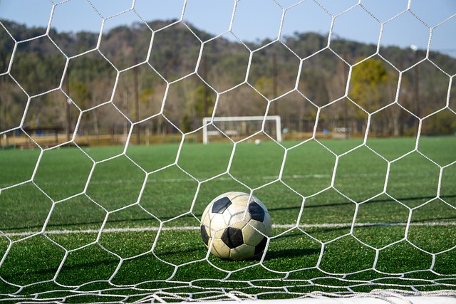 然而由于全 然而由于全