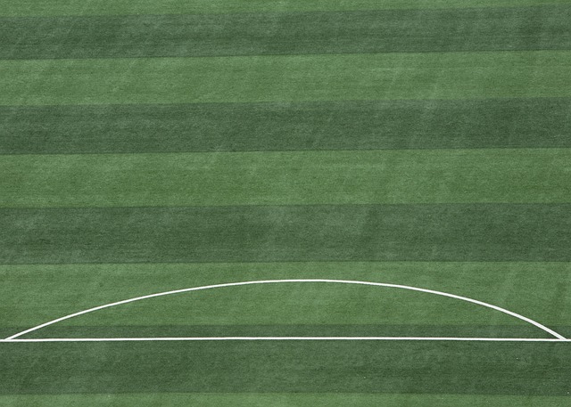 如上季的菲 如上季的菲