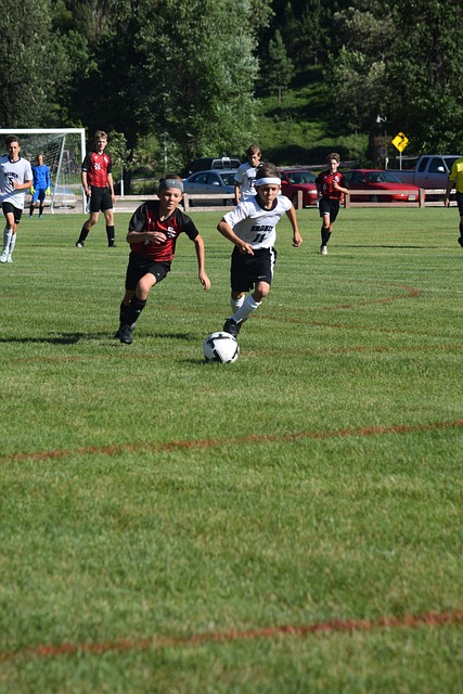 而在重庆半 而在重庆半