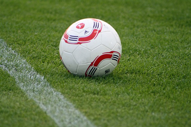 球发展的浪 球发展的浪