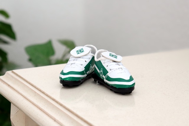 配球权的能 配球权的能