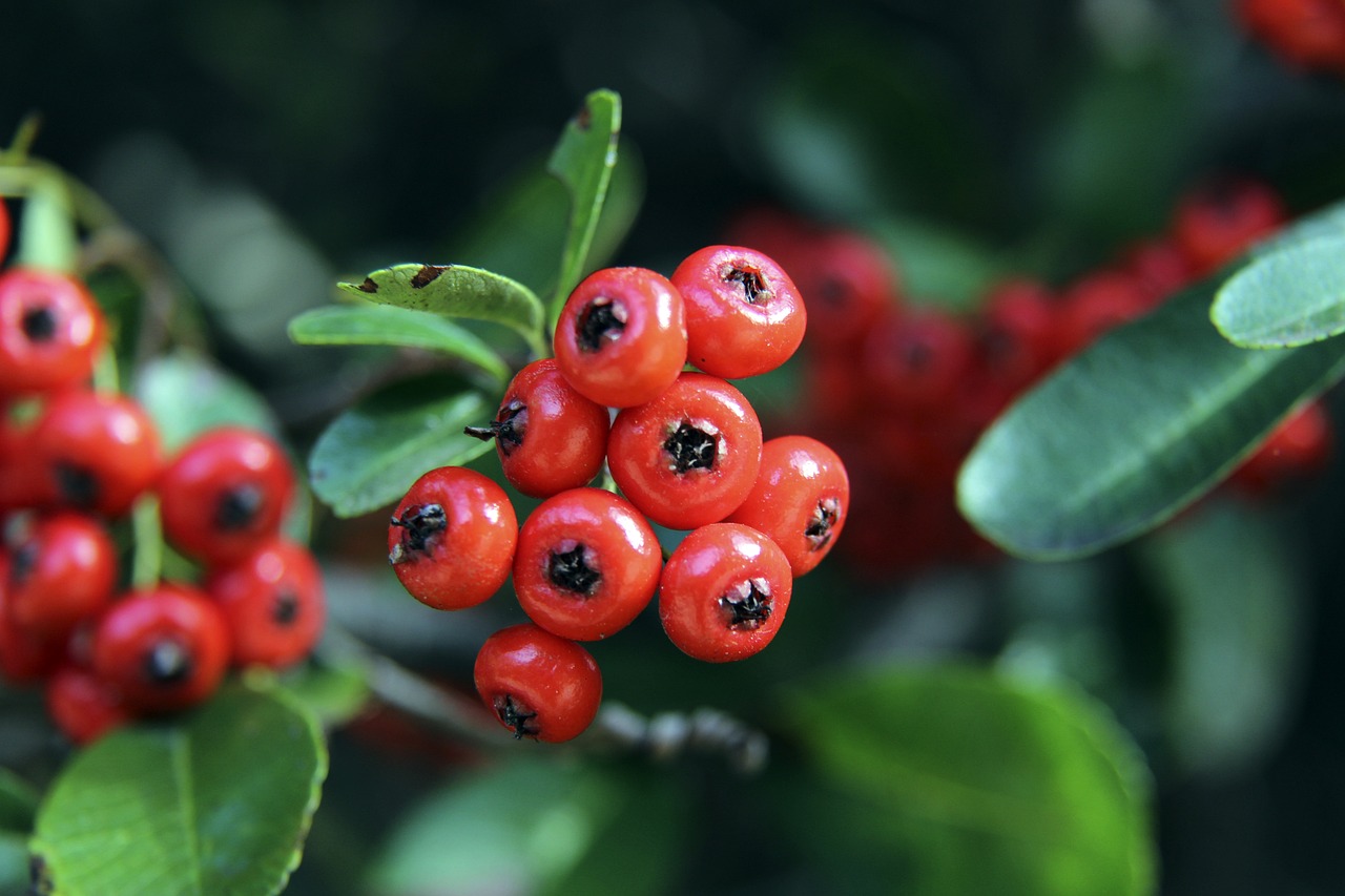 预选赛小组 预选赛小组