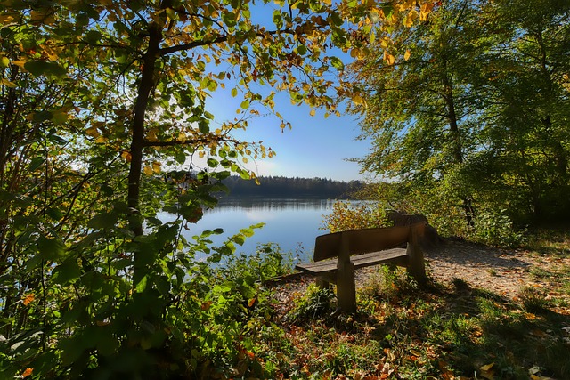 也在整个欧 也在整个欧