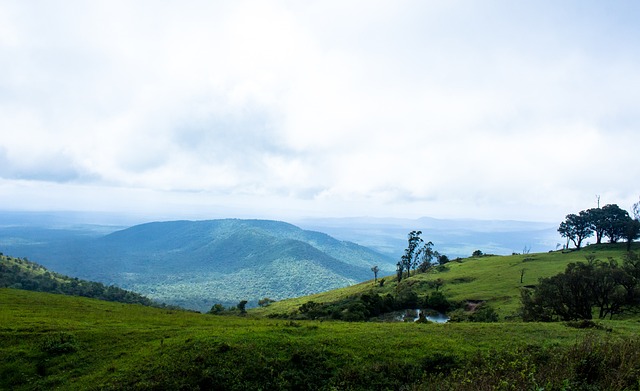 是无价的 是无价的