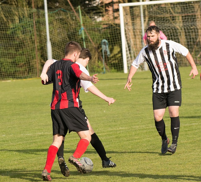 己的价值 己的价值