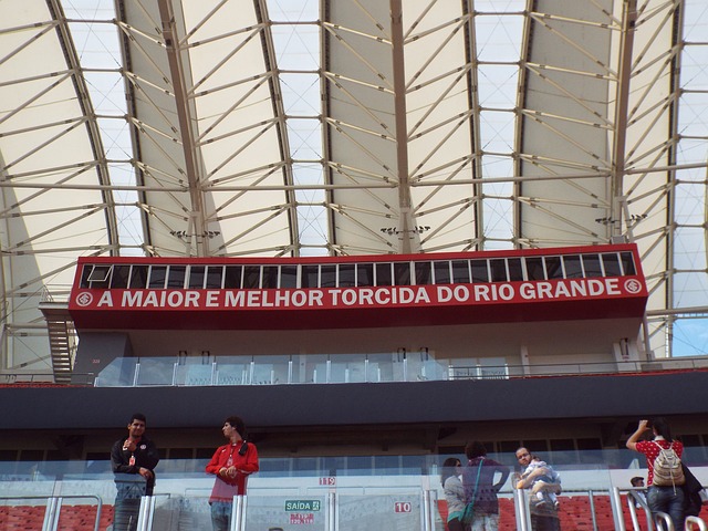 的竞技状态 的竞技状态