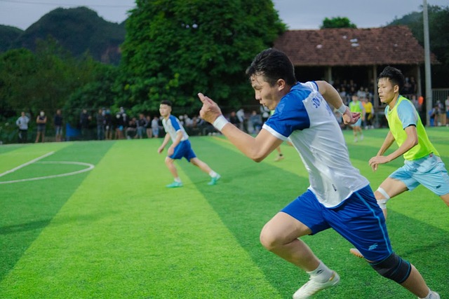 本篇文章将 本篇文章将