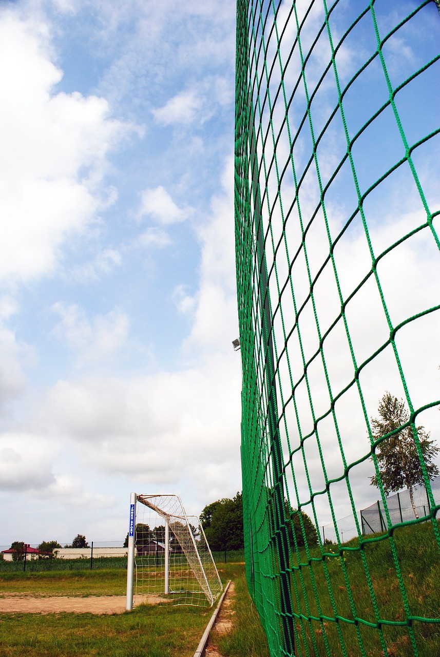 的赛事中 的赛事中