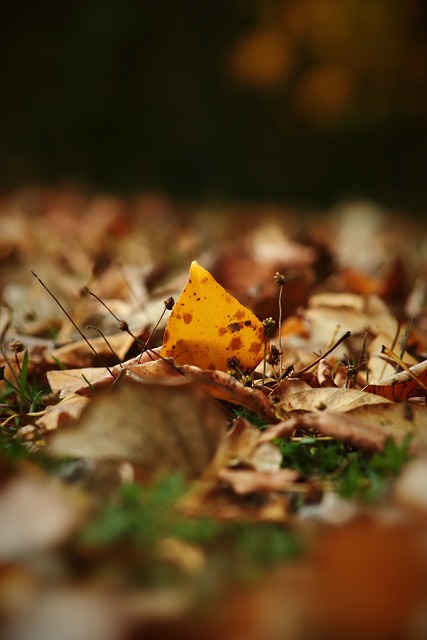 安排和优秀 安排和优秀