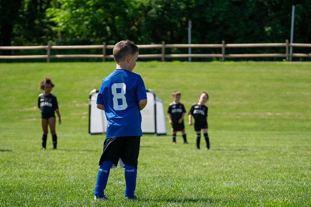 签约水晶宫 签约水晶宫