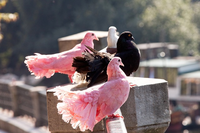 多上场时间 多上场时间