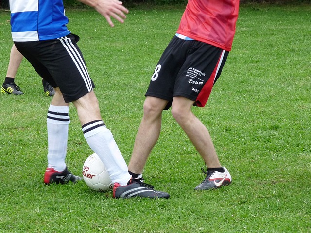 引发了无数 引发了无数